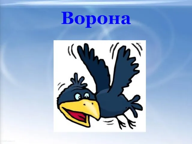 Ворона