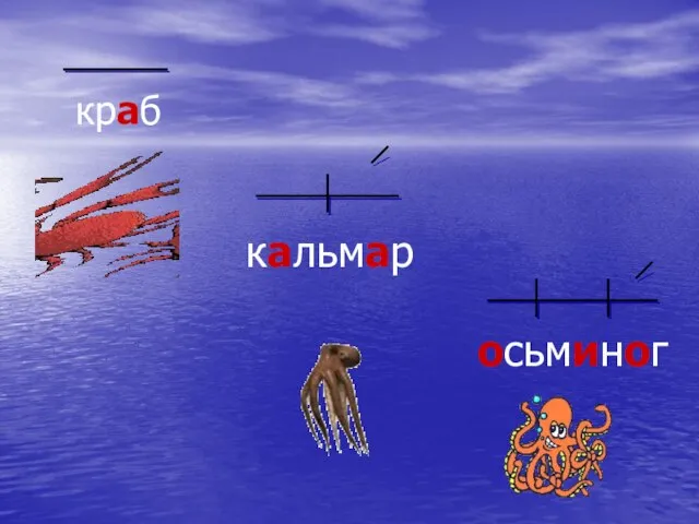 краб кальмар осьминог