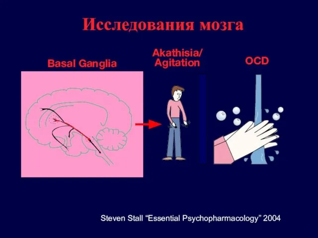 Akathisia/ Agitation Исследования мозга Steven Stall “Essential Psychopharmacology” 2004