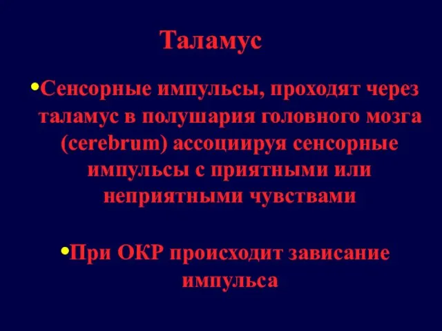 Сенсорные импульсы, проходят через таламус в полушария головного мозга (cerebrum) ассоциируя сенсорные