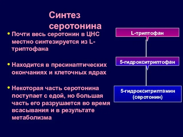 Почти весь серотонин в ЦНС местно синтезируется из L-триптофана Находится в пресинаптических