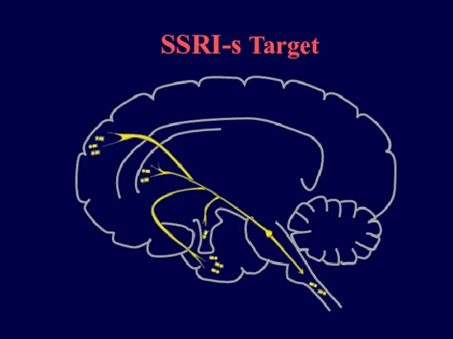 SSRI-s Target