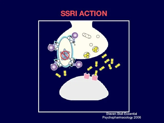 Steven Stall Essential Psychopharmacology 2006