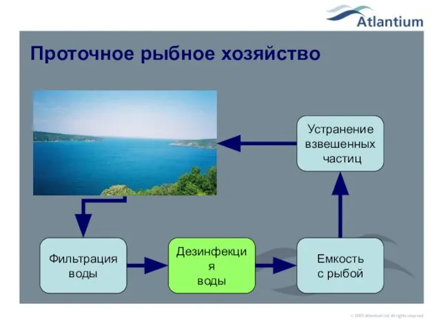 Проточное рыбное хозяйство Фильтрация воды Дезинфекция воды Устранение взвешенных частиц Емкость с рыбой