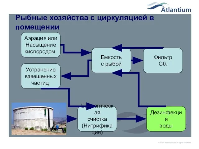 Рыбные хозяйства с циркуляцией в помещении Устранение взвешенных частиц Дезинфекция воды Емкость