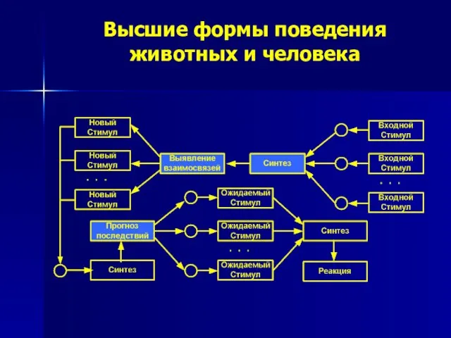 Высшие формы поведения животных и человека