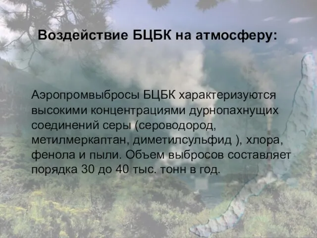 Воздействие БЦБК на атмосферу: Аэропромвыбросы БЦБК характеризуются высокими концентрациями дурнопахнущих соединений серы