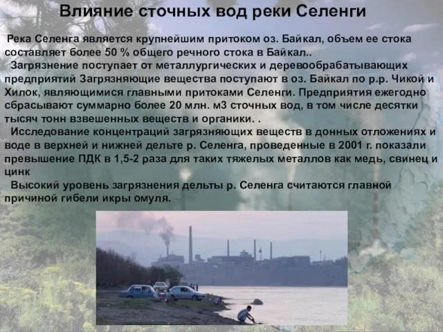 Влияние сточных вод реки Селенги Река Селенга является крупнейшим притоком оз. Байкал,
