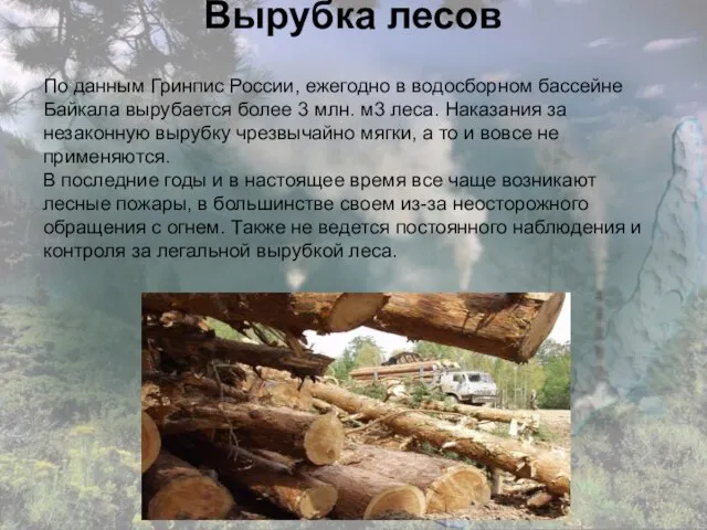 Вырубка лесов По данным Гринпис России, ежегодно в водосборном бассейне Байкала вырубается