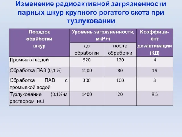 Изменение радиоактивной загрязненности парных шкур крупного рогатого скота при тузлуковании