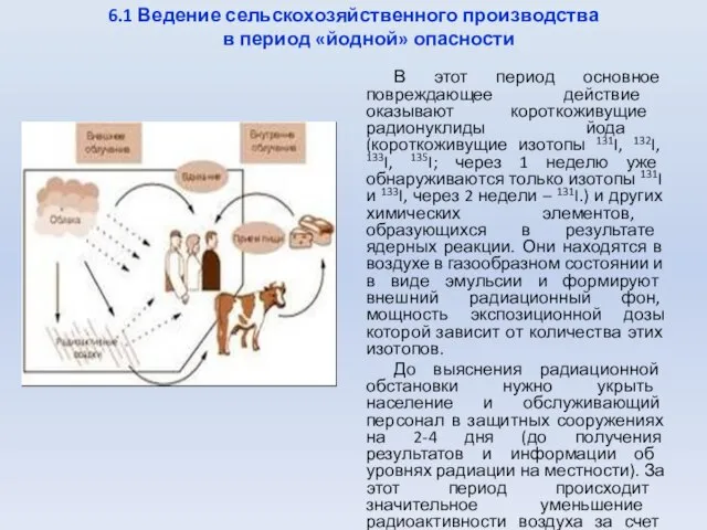 6.1 Ведение сельскохозяйственного производства в период «йодной» опасности В этот период основное