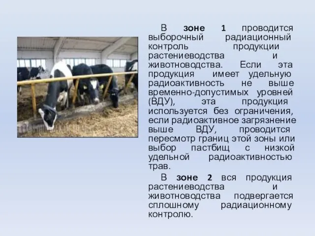 В зоне 1 проводится выборочный радиационный контроль продукции растениеводства и животноводства. Если