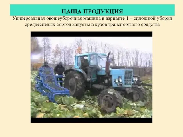 НАША ПРОДУКЦИЯ Универсальная овощеуборочная машина в варианте 1 – сплошной уборки среднеспелых