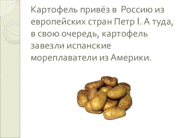 Картофель привёз в Россию из европейских стран Петр I. А туда, в