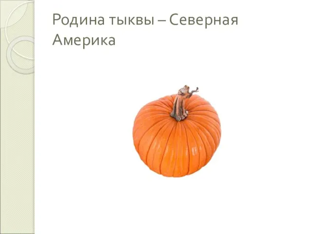 Родина тыквы – Северная Америка