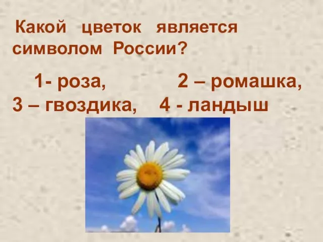 Какой цветок является символом России? 1- роза, 2 – ромашка, 3 – гвоздика, 4 - ландыш