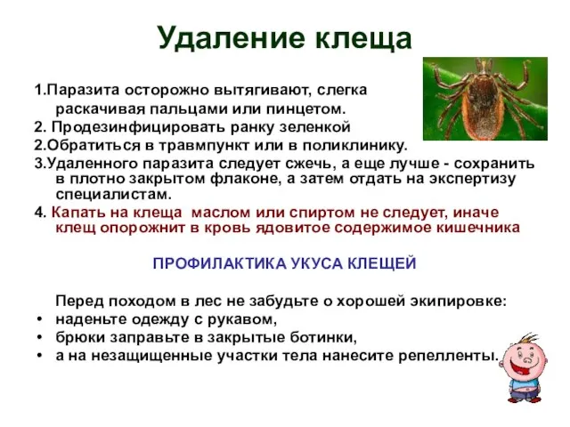 Удаление клеща 1.Паразита осторожно вытягивают, слегка раскачивая пальцами или пинцетом. 2. Продезинфицировать