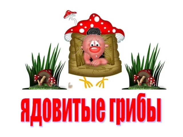 ядовитые грибы