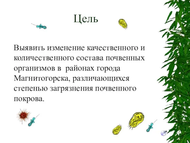 Цель Выявить изменение качественного и количественного состава почвенных организмов в районах города