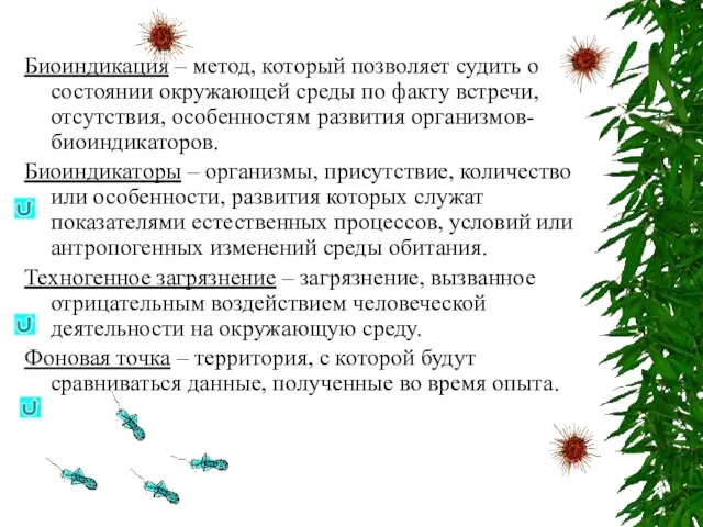 Биоиндикация – метод, который позволяет судить о состоянии окружающей среды по факту