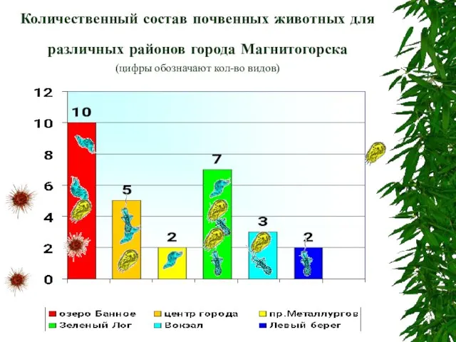 Количественный состав почвенных животных для различных районов города Магнитогорска (цифры обозначают кол-во видов)