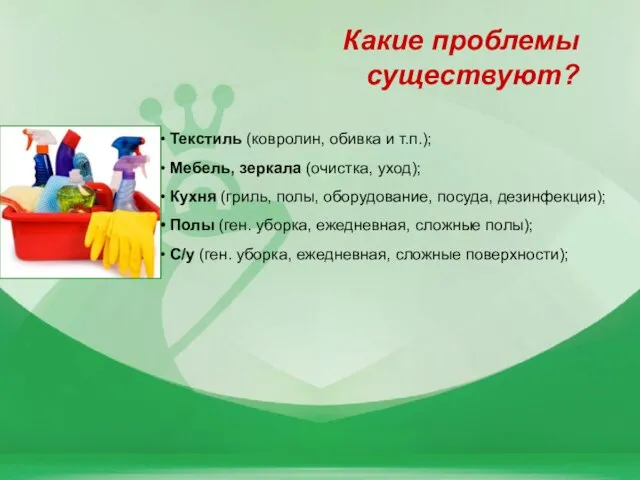 Какие проблемы существуют? Текстиль (ковролин, обивка и т.п.); Мебель, зеркала (очистка, уход);