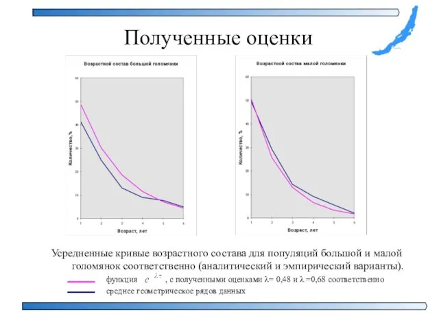 Полученные оценки Усредненные кривые возрастного состава для популяций большой и малой голомянок