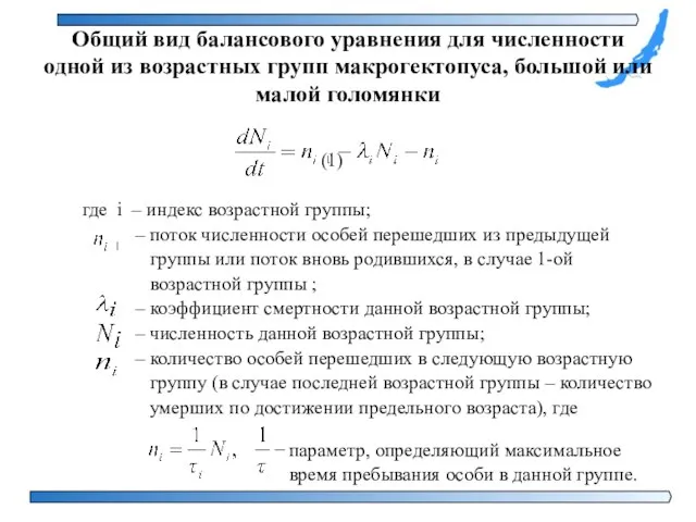 Общий вид балансового уравнения для численности одной из возрастных групп макрогектопуса, большой