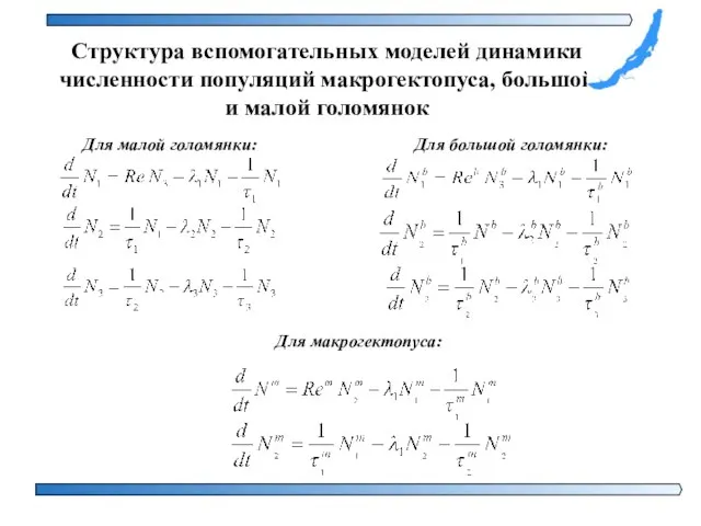 Структура вспомогательных моделей динамики численности популяций макрогектопуса, большой и малой голомянок Для