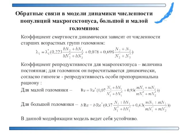 Обратные связи в модели динамики численности популяций макрогектопуса, большой и малой голомянок