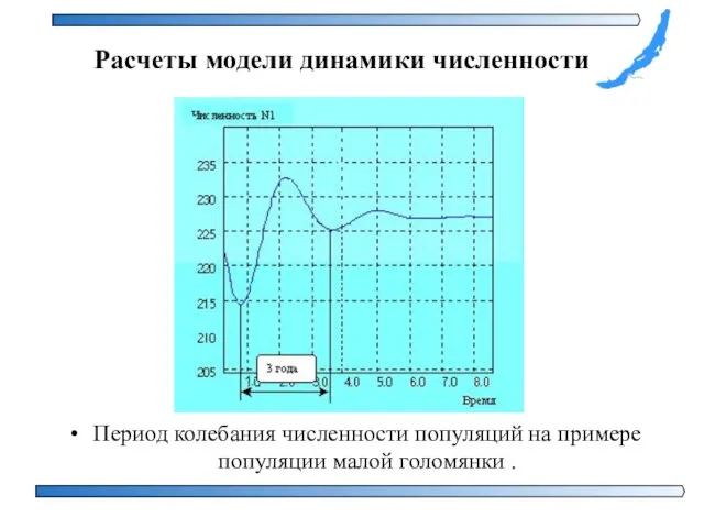 Период колебания численности популяций на примере популяции малой голомянки . Расчеты модели динамики численности