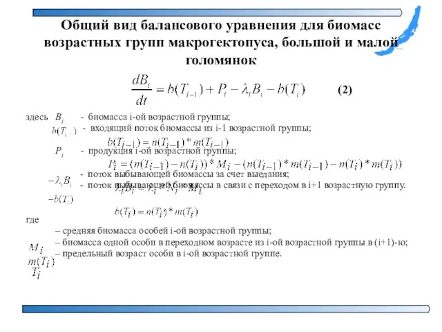 Общий вид балансового уравнения для биомасс возрастных групп макрогектопуса, большой и малой