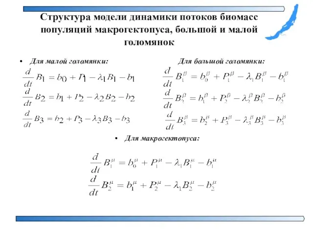 Структура модели динамики потоков биомасс популяций макрогектопуса, большой и малой голомянок Для