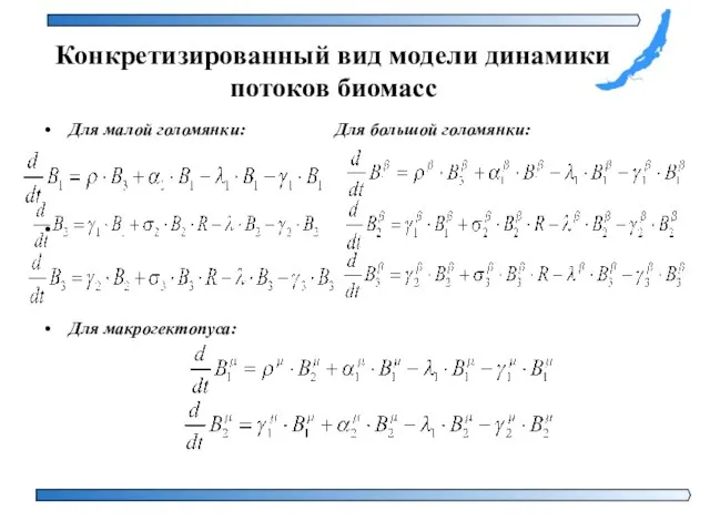 Конкретизированный вид модели динамики потоков биомасс Для малой голомянки: Для большой голомянки: Для макрогектопуса: