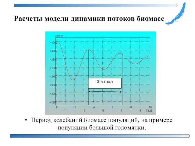 Период колебаний биомасс популяций, на примере популяции большой голомянки. Расчеты модели динамики потоков биомасс