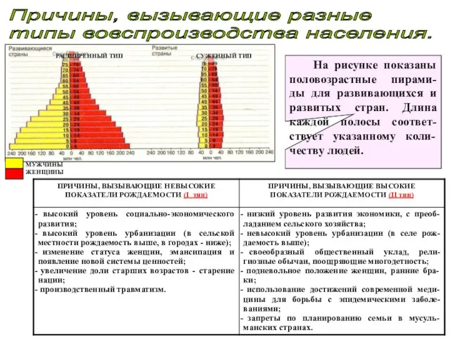 Причины, вызывающие разные типы вовспроизводства населения. На рисунке показаны половозрастные пирами-ды для