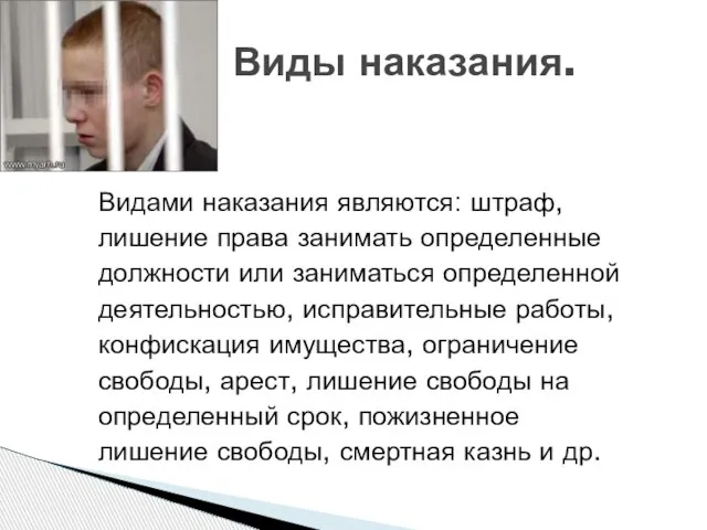 Видами наказания являются: штраф, лишение права занимать определенные должности или заниматься определенной