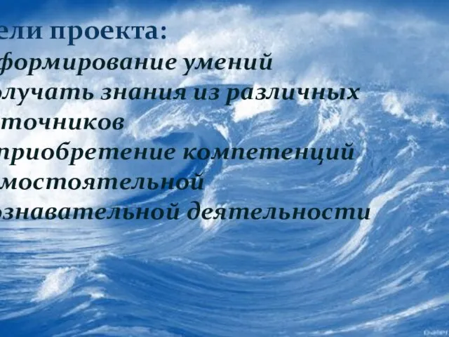 Цели проекта: формирование умений получать знания из различных источников приобретение компетенций самостоятельной познавательной деятельности