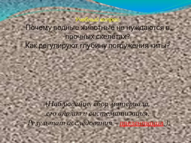 Учебный вопрос: Почему водные животные не нуждаются в прочных скелетах? Как регулируют