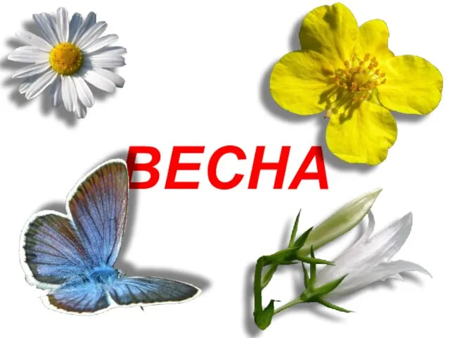 ВЕСНА