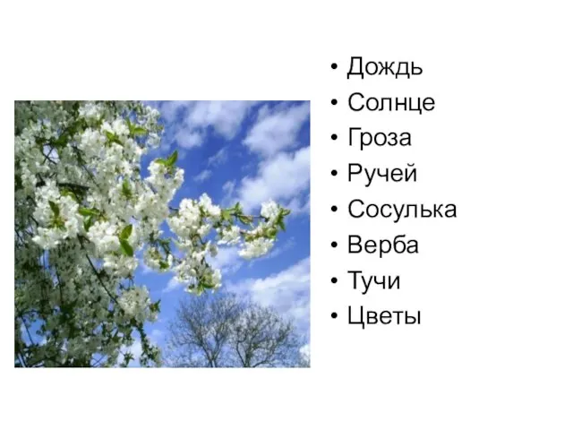 Дождь Солнце Гроза Ручей Сосулька Верба Тучи Цветы