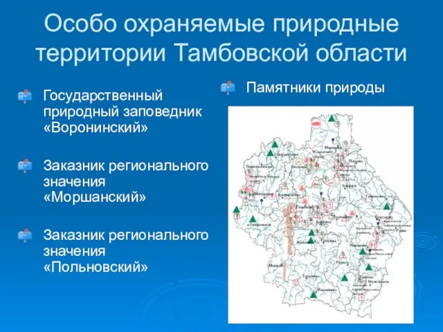 Особо охраняемые природные территории Тамбовской области Государственный природный заповедник «Воронинский» Заказник регионального