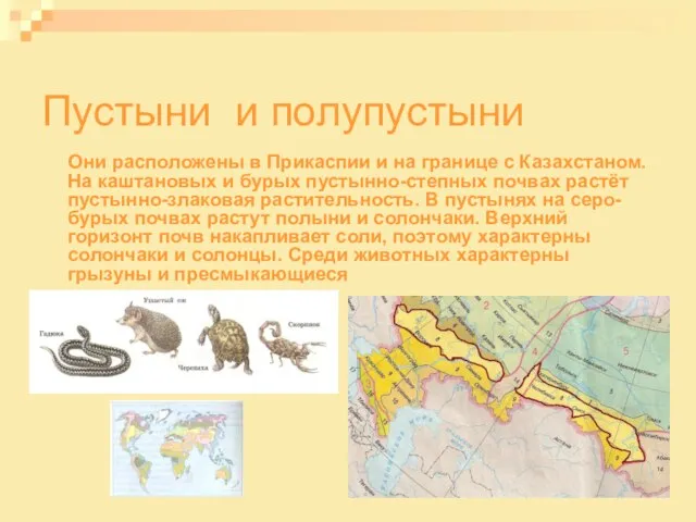Пустыни и полупустыни Они расположены в Прикаспии и на границе с Казахстаном.