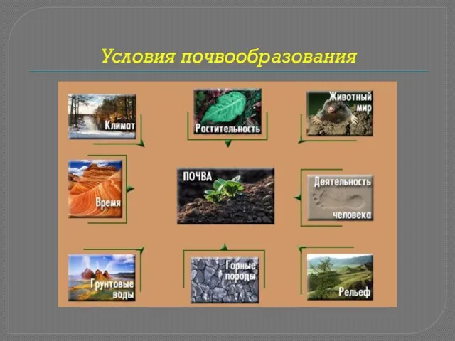 Условия почвообразования