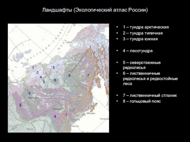 Ландшафты (Экологический атлас России) 1 – тундра арктическая 2 – тундра типичная