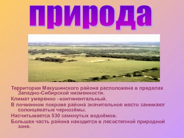 Территория Макушинского района расположена в пределах Западно-Сибирской низменности. Климат умеренно –континентальный. В