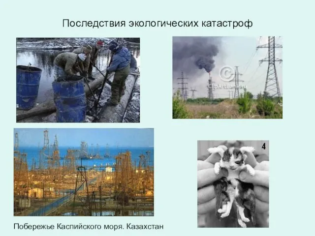 Последствия экологических катастроф Побережье Каспийского моря. Казахстан