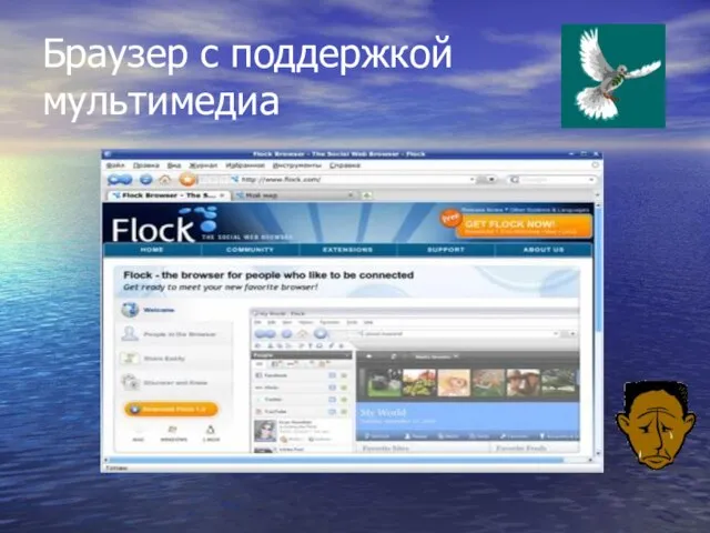 Браузер с поддержкой мультимедиа