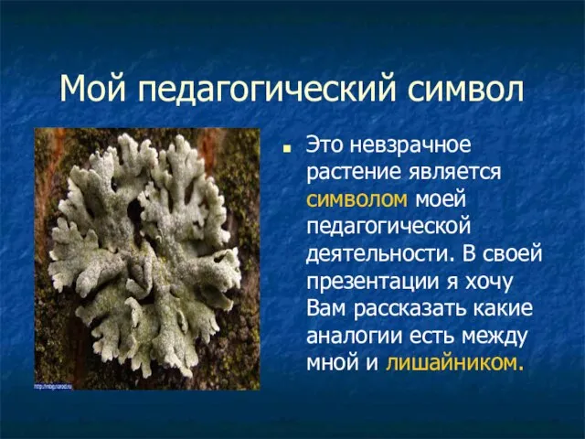 Мой педагогический символ Это невзрачное растение является символом моей педагогической деятельности. В