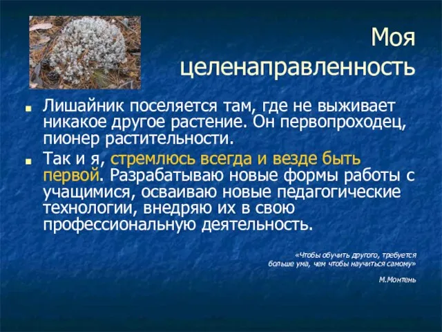 Моя целенаправленность Лишайник поселяется там, где не выживает никакое другое растение. Он